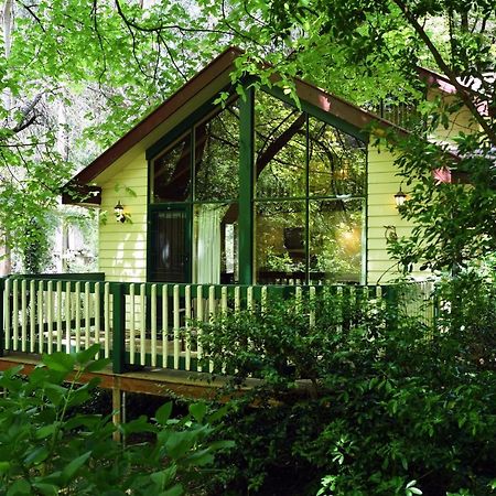 Cambridge Cottages Олинда Экстерьер фото