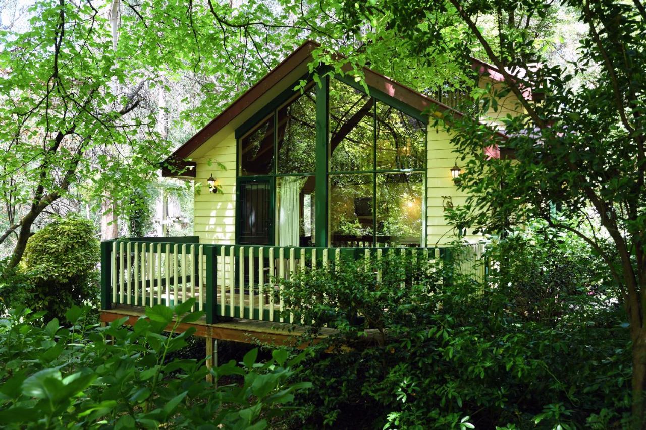Cambridge Cottages Олинда Экстерьер фото